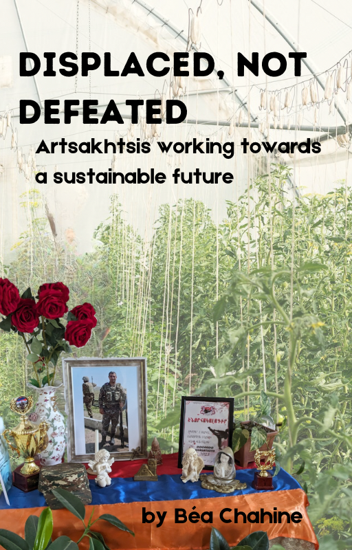Displaced, not Defeated: Artsakhtsis working towards a sustainable future